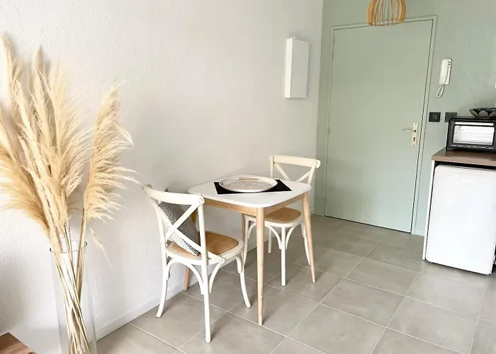 דירה Joli Au Calme En Centre Avec Terrasse Et Parking *